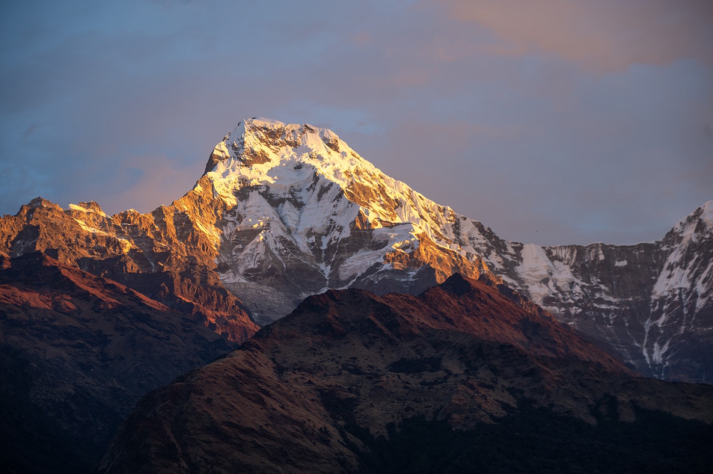 Golden sunrise light illuminating Annapurna South as seen from Tadapani, with snow-covered peaks glowing above forested hills on the Annapurna Base Camp Trek via Poon Hill.