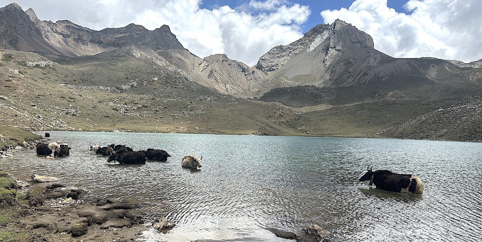 Ice Lake (Kicho Tal) above Manang with crystal-clear turquoise water, snow-covered Himalayan peaks, rugged alpine terrain, and colorful prayer flags under a deep blue sky on the Annapurna Circuit Trek in Nepal.