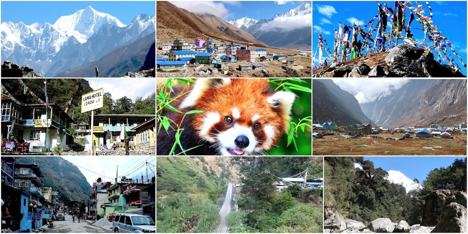 Langtang Valley Trek -Highlights