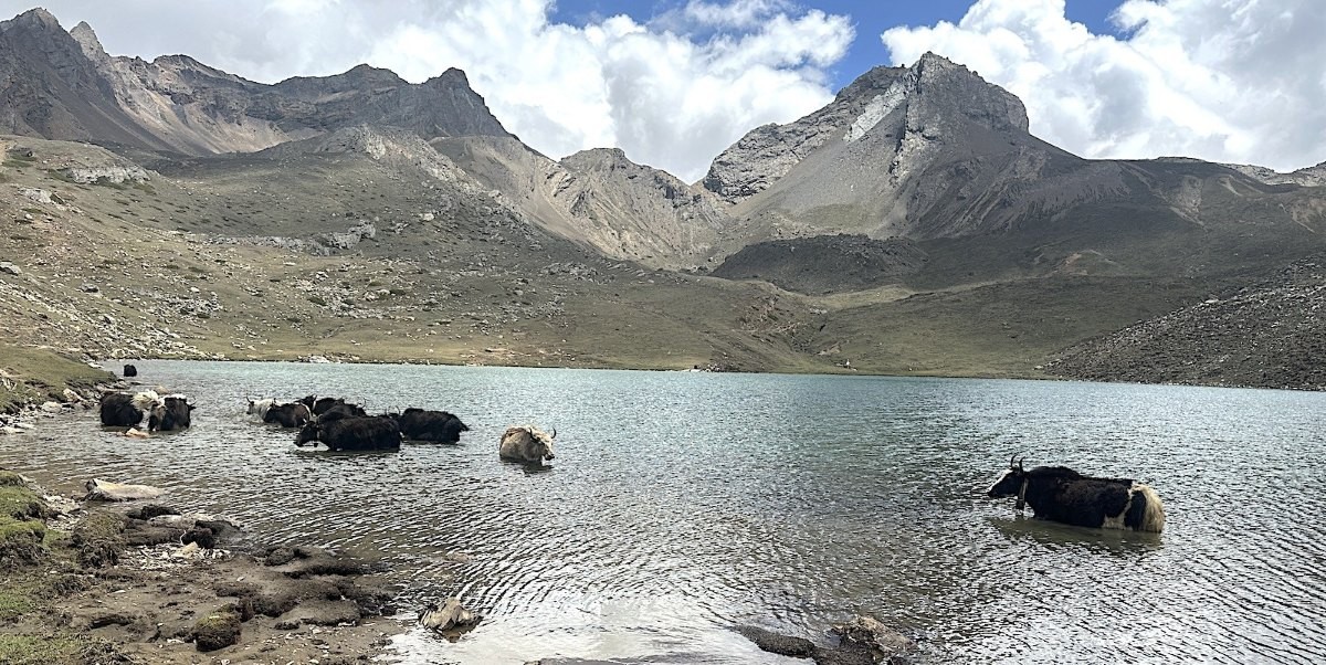 Ice Lake (Kicho Tal) above Manang with crystal-clear turquoise water, snow-covered Himalayan peaks, rugged alpine terrain, and colorful prayer flags under a deep blue sky on the Annapurna Circuit Trek in Nepal.