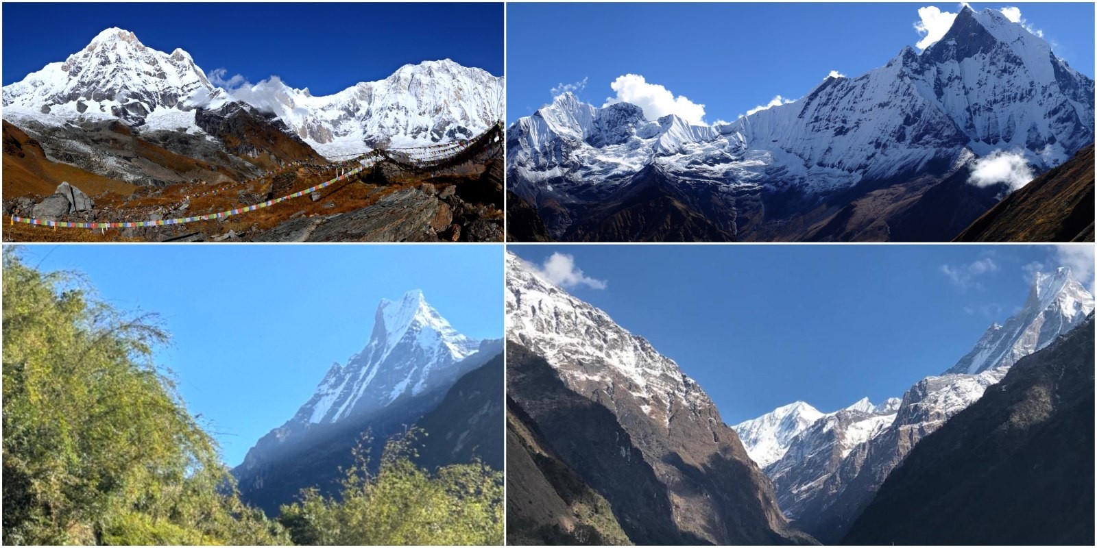 Panoramic Himalayan mountain views on the Annapurna Base Camp Trek showing Annapurna I, Machhapuchhre (Fishtail), Hiunchuli, and surrounding snow-covered peaks from the trekking trail.