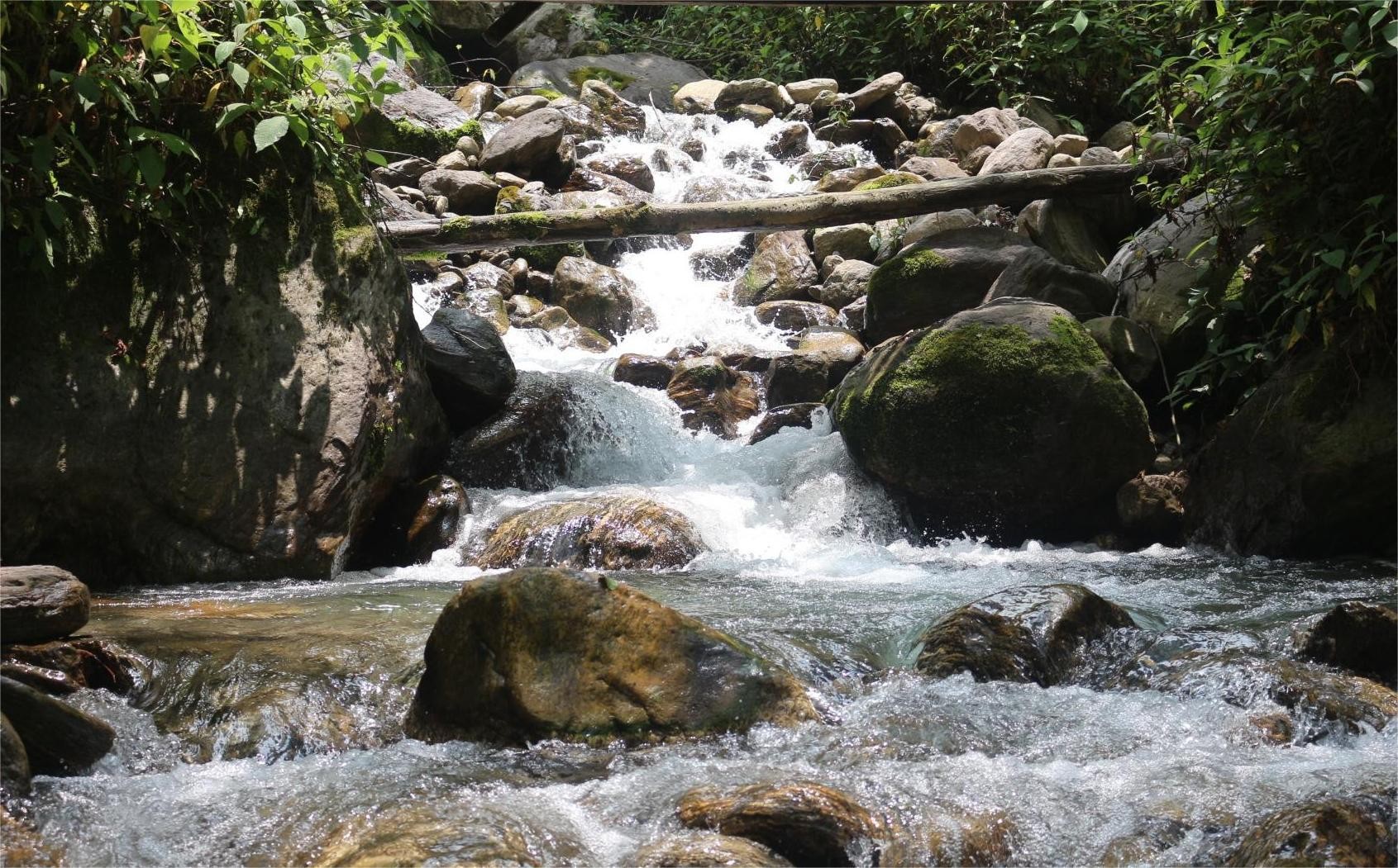 Crystal clear river flowing through the Langtang Valley Trek, surrounded by lush green forests, rocky Himalayan terrain, and snow-capped mountain views in Nepal.