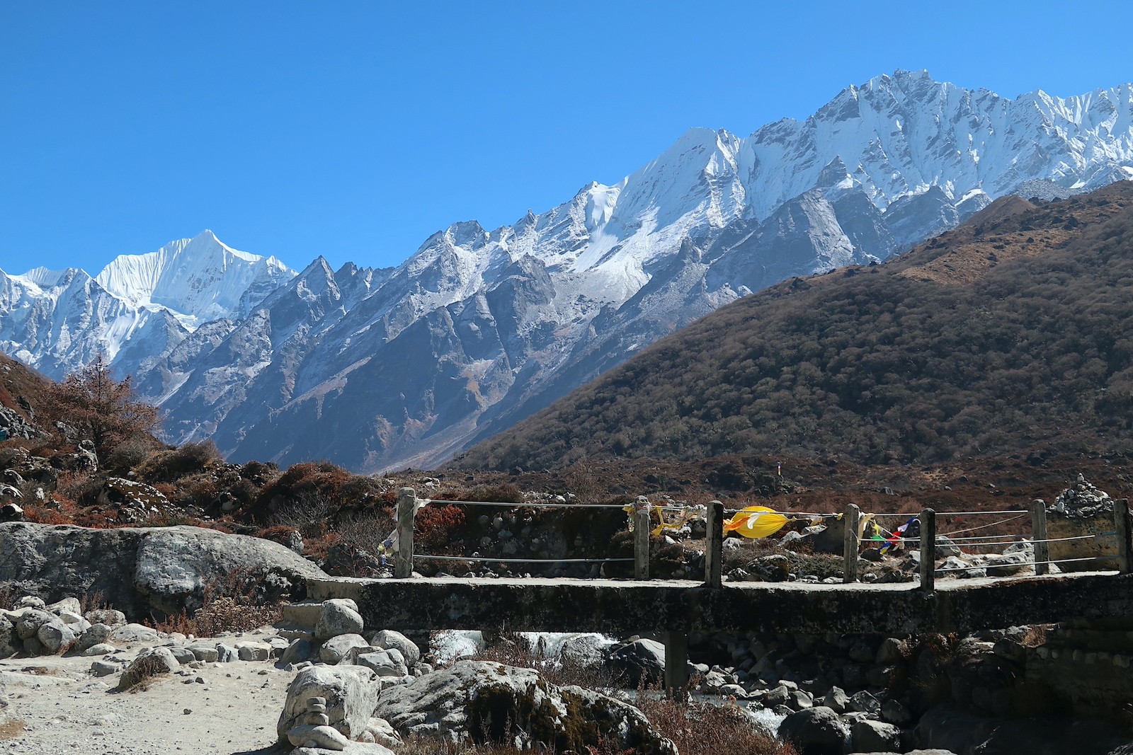 Trekkers walking along a scenic mountain trail in Langtang Valley surrounded by green hills and snow-capped Himalayan peaks.