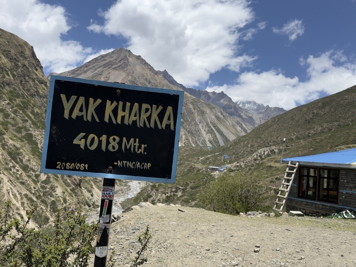 Yak Kharka on the Annapurna Circuit Trek featuring alpine grasslands, grazing yaks, traditional teahouses, rugged mountain trails, and panoramic views of the snow-capped Annapurna Himalayas in Nepal.