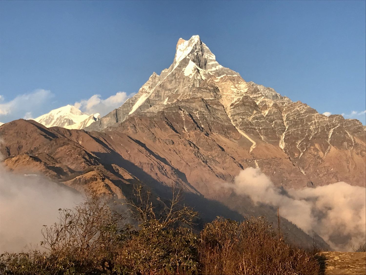 Machapuchare (Fishtail Mountain), a striking snow-covered Himalayan peak in the Annapurna region of Nepal, rising dramatically above green hills under a clear blue sky.