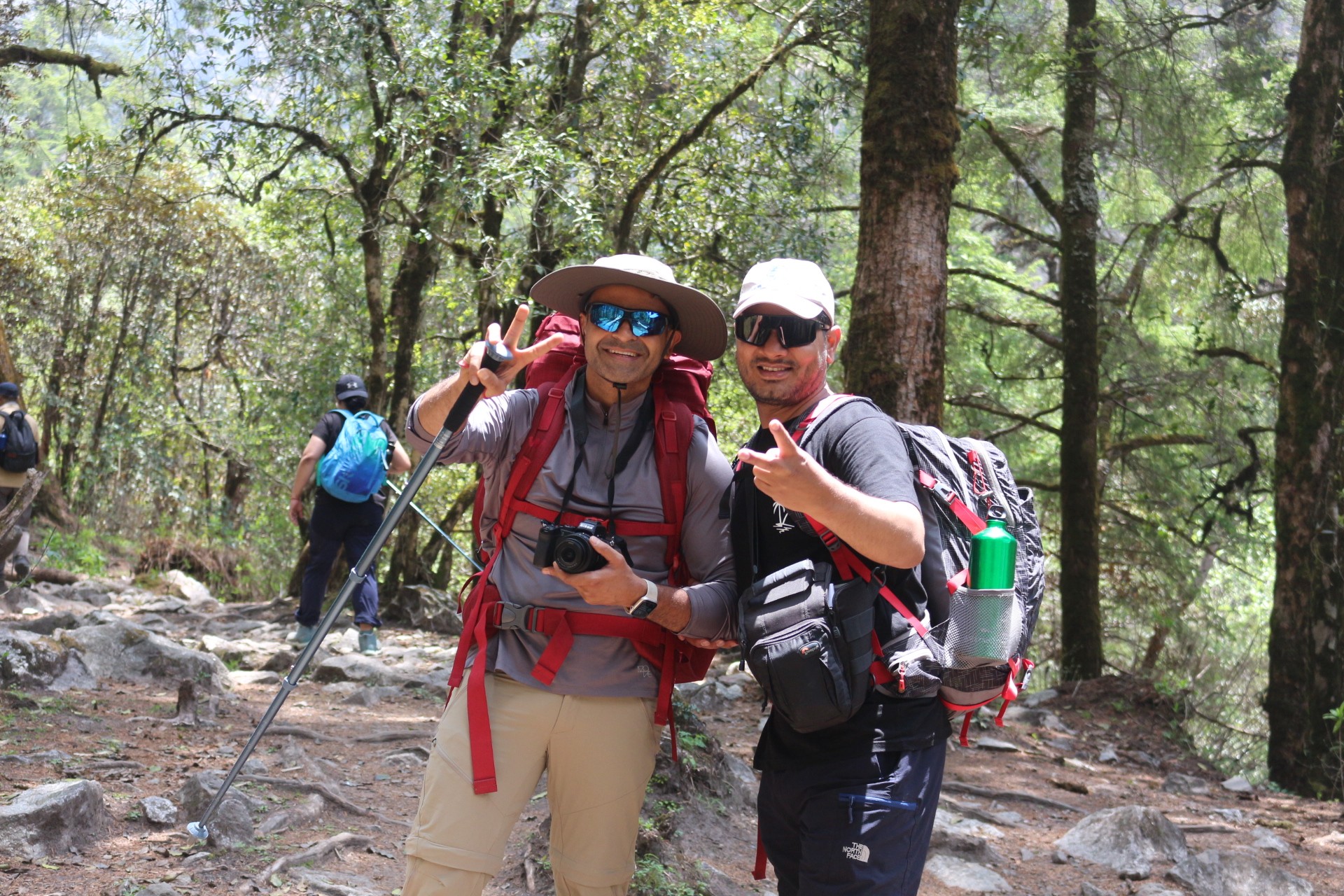 Trekkers hiking through a lush pine and rhododendron forest on the Langtang Valley Trek in September, carrying backpacks along a scenic mountain trail.  