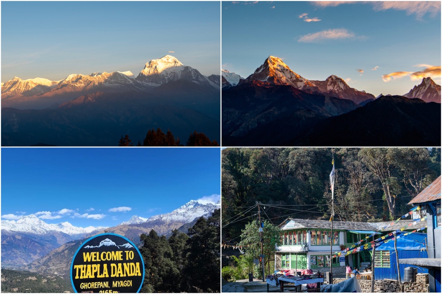Poon Hill Trek featuring sunrise from Poon Hill, panoramic views of Annapurna and Dhaulagiri, Thapla Danda viewpoint, and the forest trail toward Tadapani.