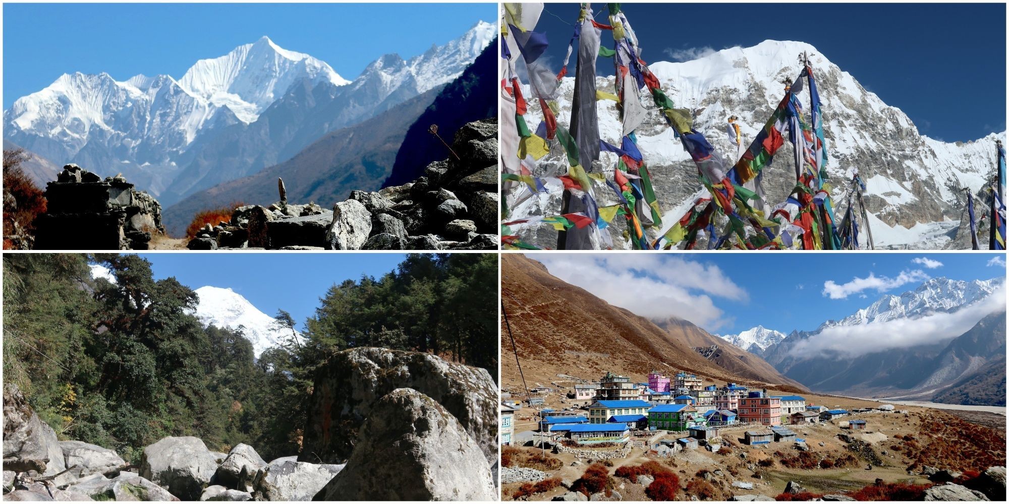 Langtang Valley Trek highlights featuring spectacular Himalayan mountain views, colourful prayer flags, forested trails, rocky landscapes, and Kyanjin Gompa village.