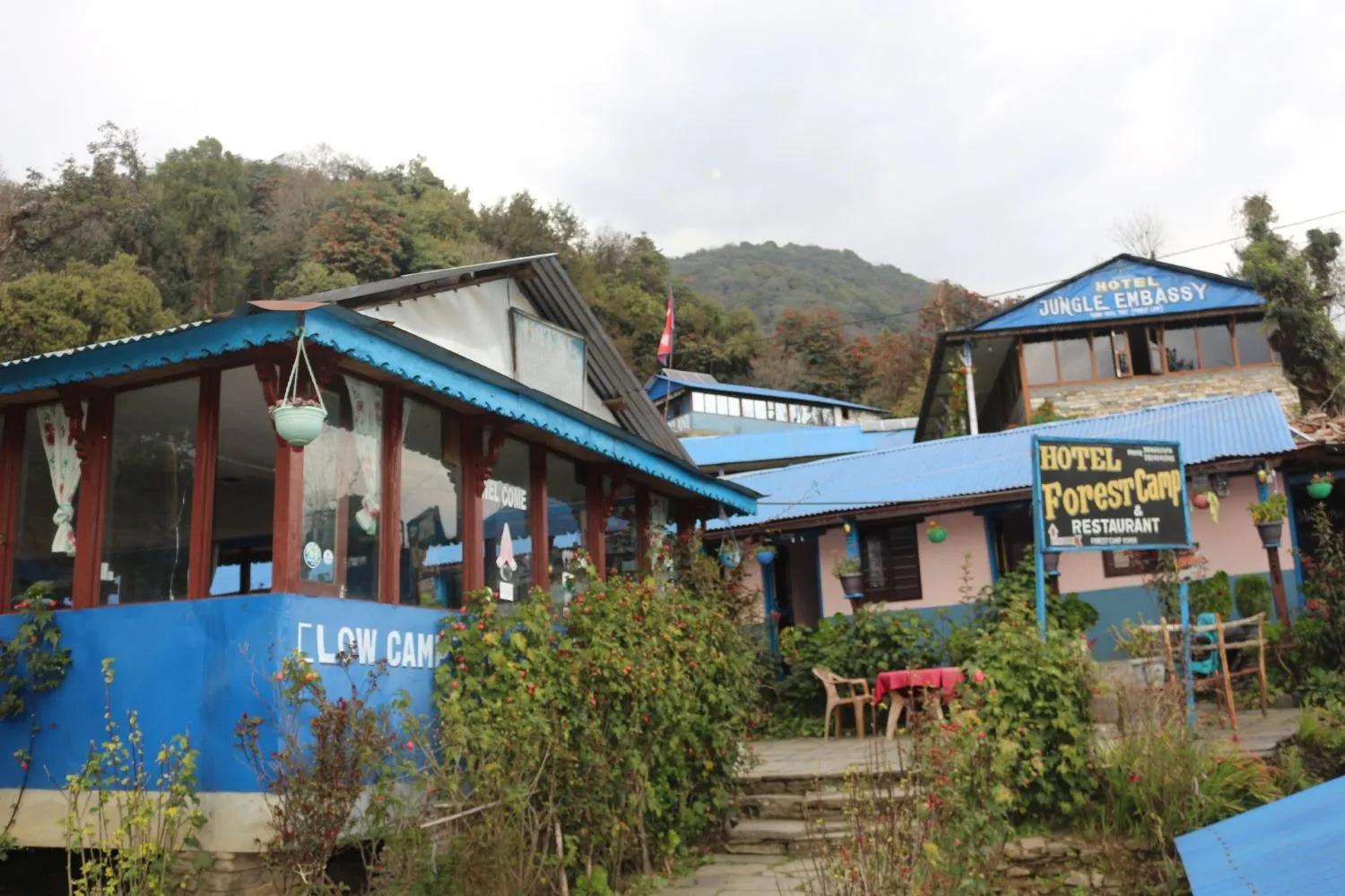 Forest Camp on the Mardi Himal Trek surrounded by dense rhododendron and oak forests, with cozy mountain lodges nestled among tall trees along the peaceful trekking trail.