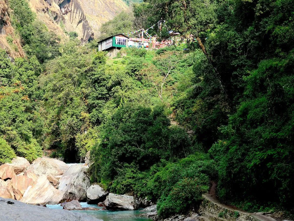  Scenic Langtang Valley trekking trail surrounded by green forests and Himalayan mountains.