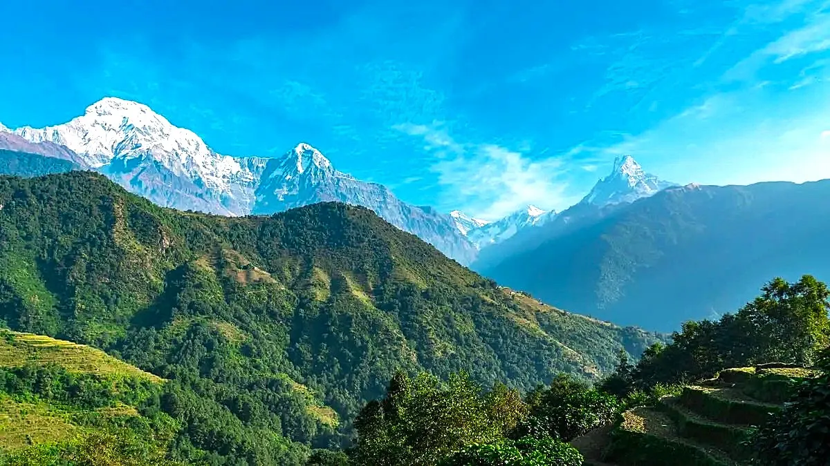 Green trekking trail near Ghandruk with Himalayan mountain views.