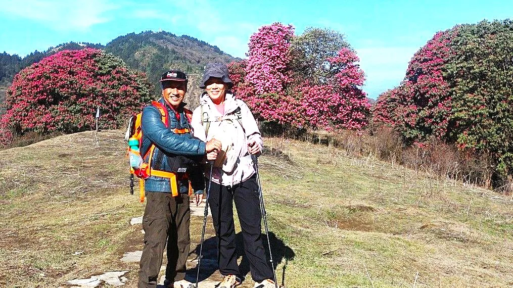 Couple trekking through rhododendron forest near Ghorepani.