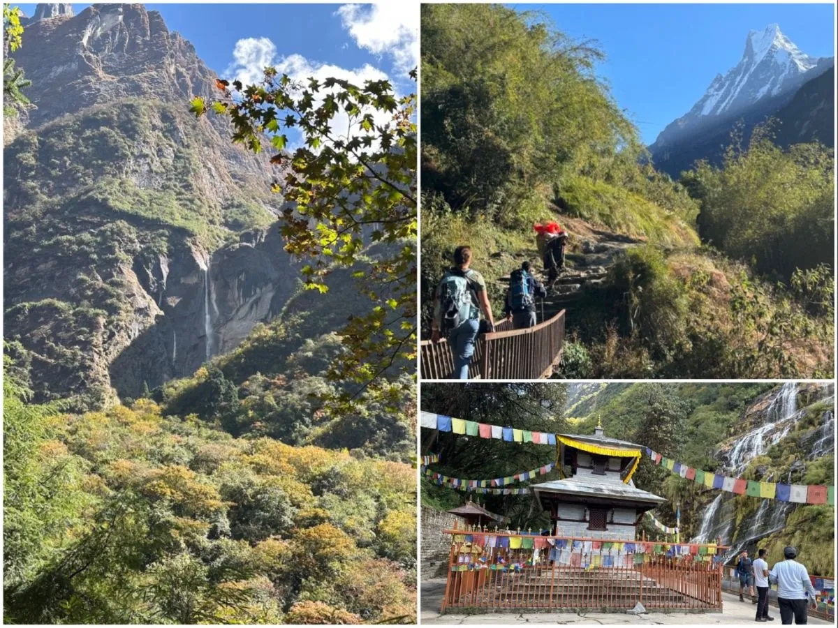 Day 2 of the Annapurna Base Camp Trek with trekkers walking through dense bamboo and rhododendron forests toward Deurali, passing Baraha Temple and enjoying magnificent views of Machhapuchhre (Fishtail Mountain).