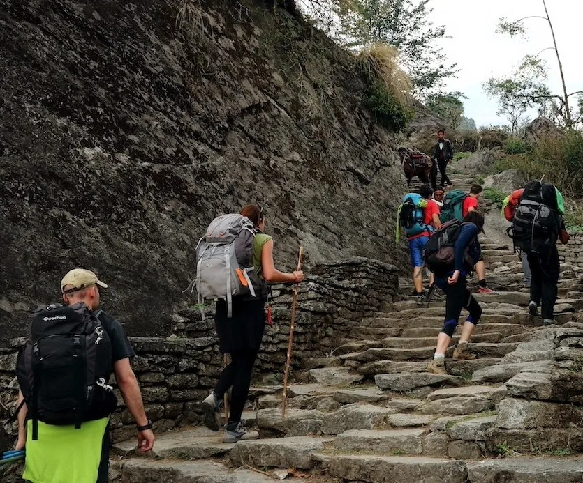 Wear breathable clothing, sturdy trekking boots, a sun hat, and carry trekking poles to stay comfortable and supported while climbing the famous stone steps to Ulleri.