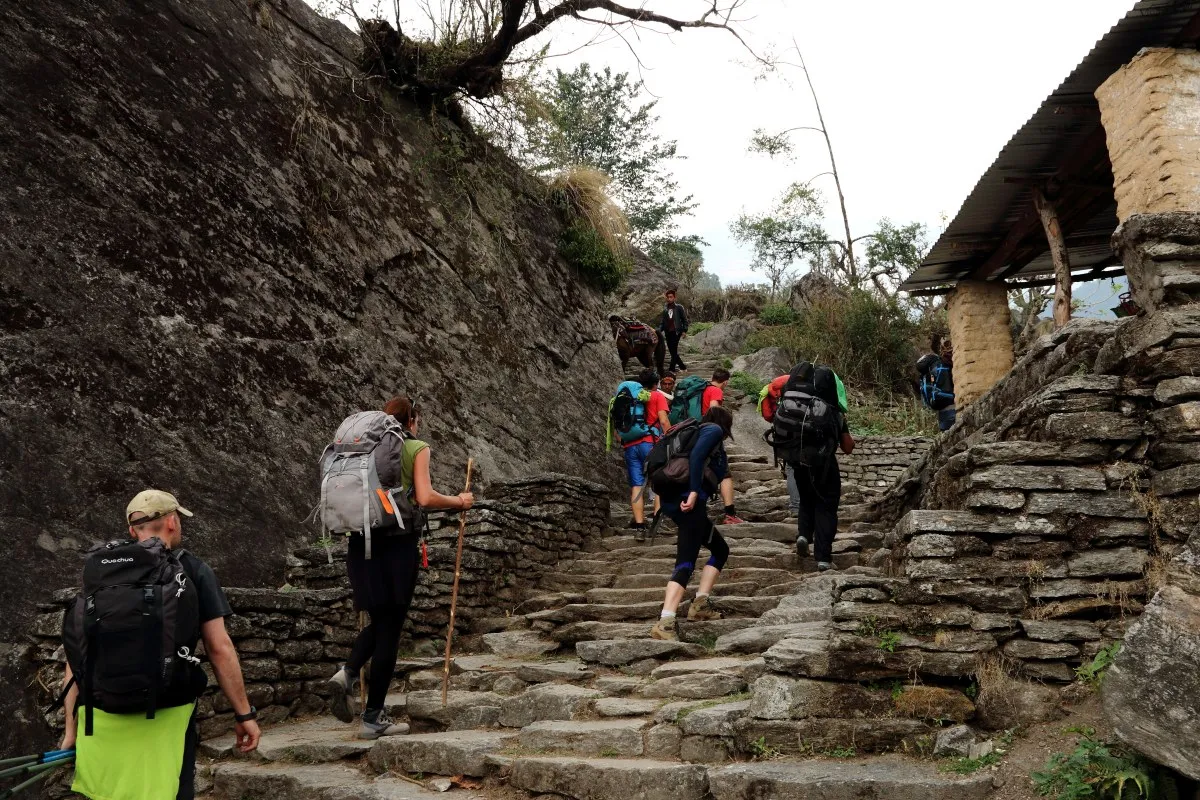Stone steps leading uphill through Ulleri village on the Ghorepani Poon Hill Trek in Nepal.