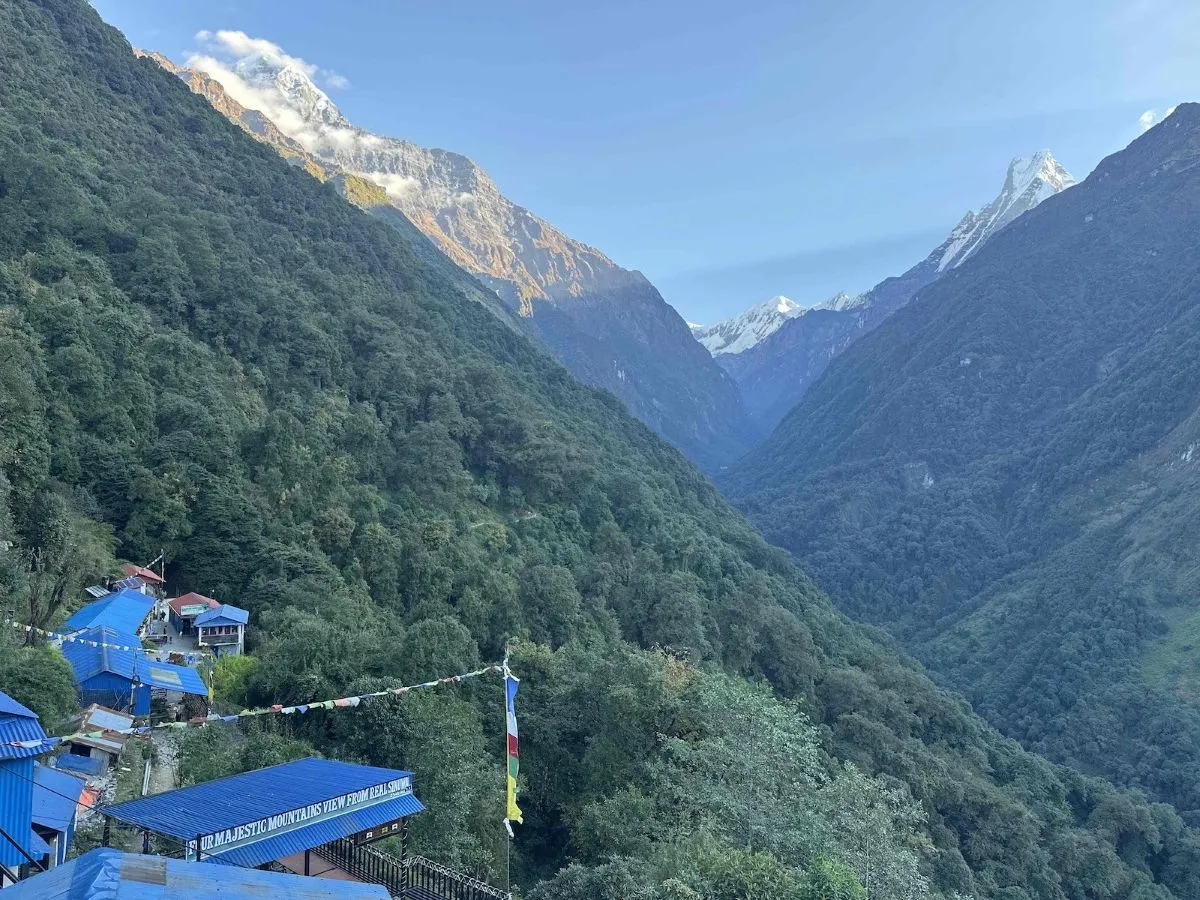Trekkers hiking from Sinuwa to Deurali through dense bamboo and rhododendron forests, following a scenic mountain trail with waterfalls, rivers, and lush Himalayan vegetation on the Annapurna Base Camp Trek.